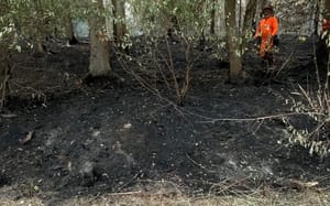 Waldbrand in Hürtgenwald: Bergische Kräfte drängen Feuer zurück